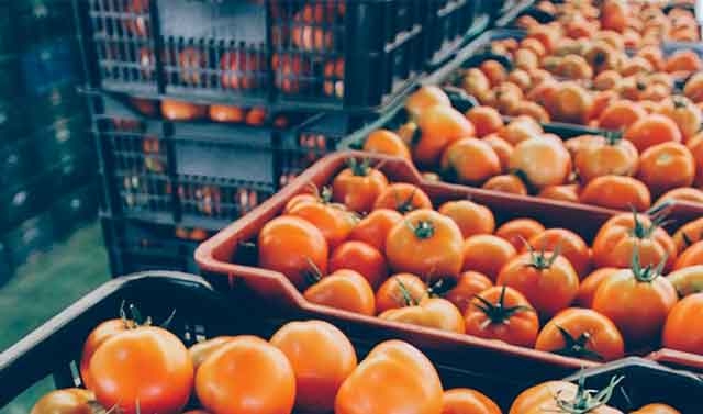 أخنوش: بلادنا تعيش وضعا طبيعيا و20 درهما للكيلوغرام الواحد من الطماطم مجرد أكاذيب