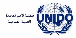 منظمة الأمم المتحدة للتنمية الصناعية تشيد بجهود المغرب في الطاقة والتنمية المستدامة